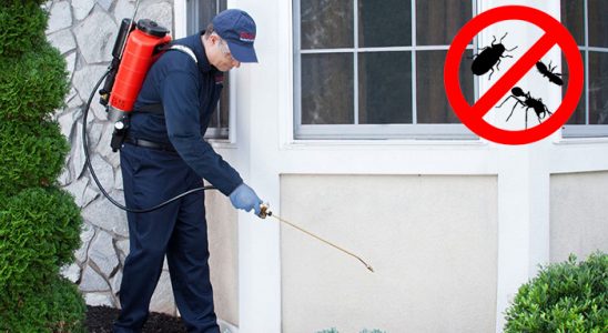 Kadınhanı Uçan Haşere İlaçlama böcek ilaçlama ve haşere kontrolü — ilaclama-tr.com